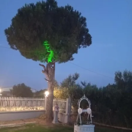 Marianthi